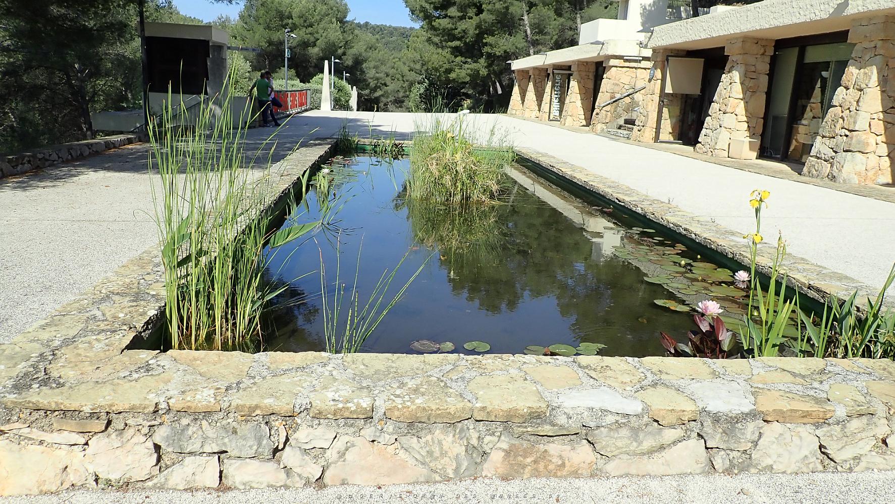 30 un Plan d'Eau.JPG